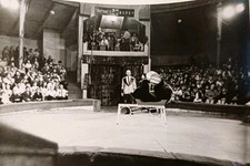 Zirkus Gastspiel Leipzig Bär