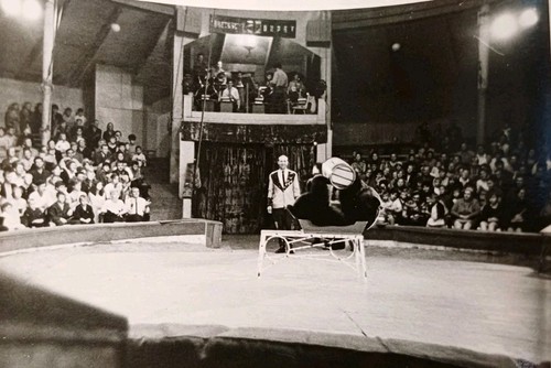 Zirkus gastspiel leipzig bär - zirkus,