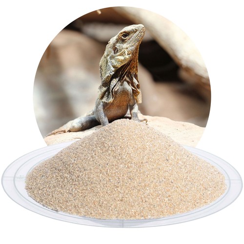 Terrariensand beige kg - terrariensand, 25