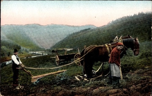 Haut rhin bauer - rhin,, und