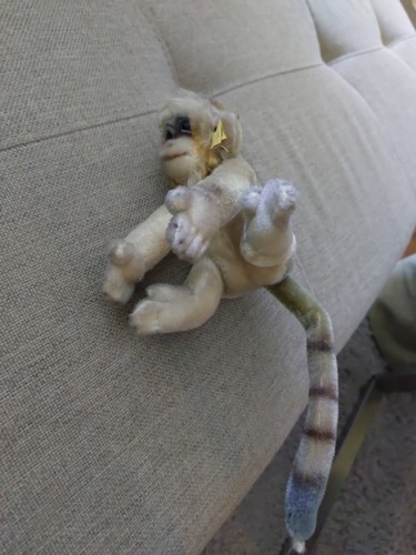 Steiff affe gibbon - steiff,