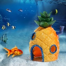 spongebob schwammkopf Haus