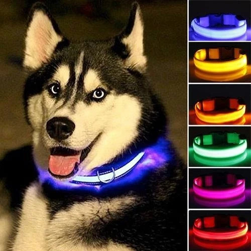 Hundehalsband led - hundehalsband,