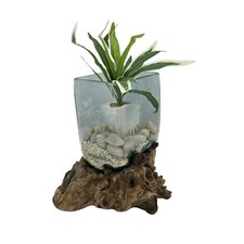 Teakholz wurzel mit glas - teakholz,