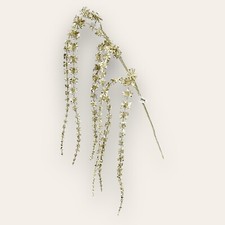 Katherine´s Collection