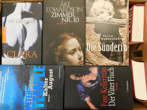 Bücher romane krimi - 31,