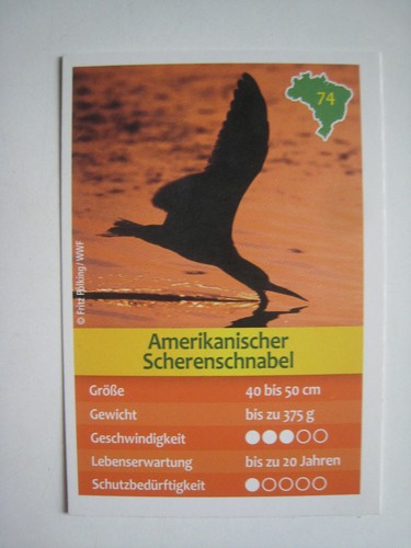 Entdecke brasilien - entdecke,