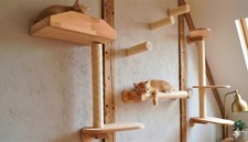 Katzen Kletterpark 6teilig