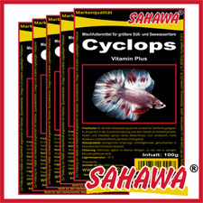 Frostfutter  Fischfutter Aquarium  5 x 100g Blister Sorte: Cyclops Hüpferlinge