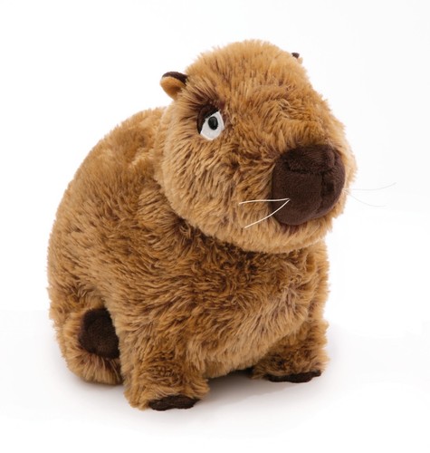 Capybara sitzendes - capybara,