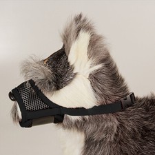 Hundemaulkorb Maulkorb