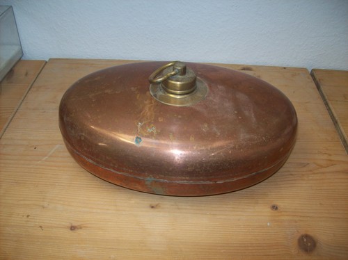 Echter dachbodenfung kupfer - dachbodenfung,