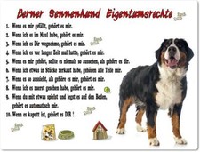 Warnschild - 20x30cm -