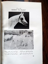 1969 Hamdan Stables Studbook *