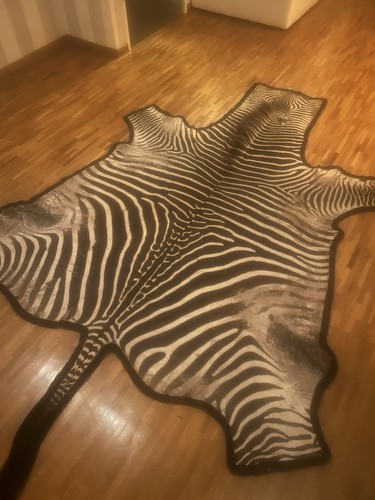Zebrafell groß top zustand - groß,