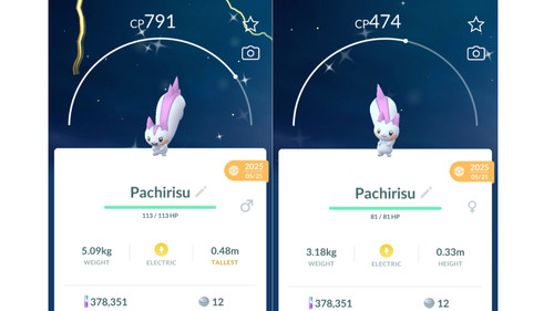 Shiny - 🐿, (schillernd)