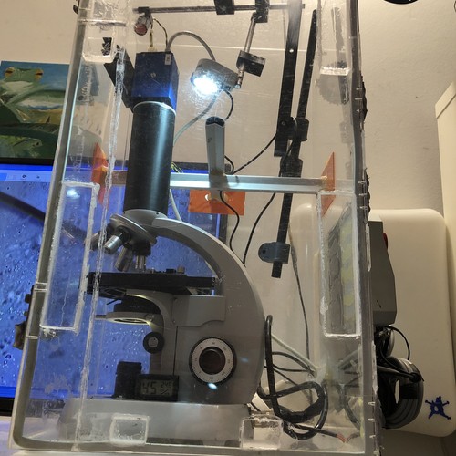 Zeiss standard mikroskop - ,