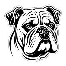 Englische Bulldogge Auto
