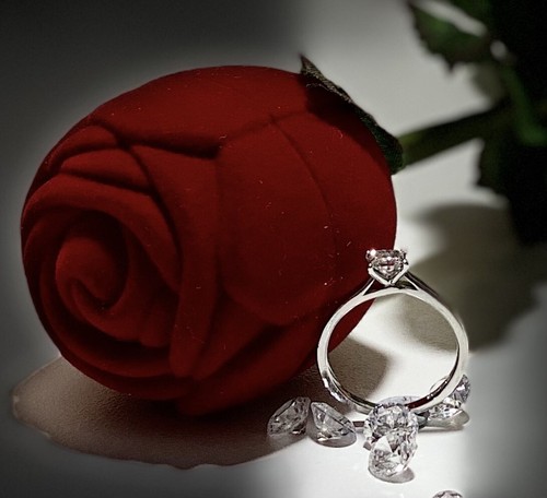 Platin diamant ring - platin,