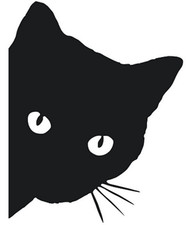 XXL Katzenkopf Aufkleber Katze