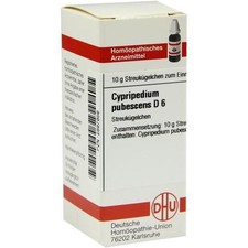 CYPRIPEDIUM pubescens D 6