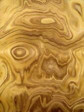 Olive Wurzelholz Holzfurnier Maser SaRaiFo 250x32cm 1 Blatt