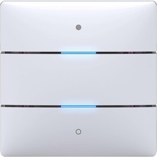 Theben Tastsensor iON 102 KNX
