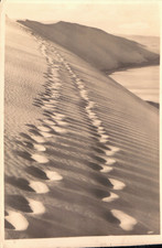 Foto-AK Kurische Nehrung