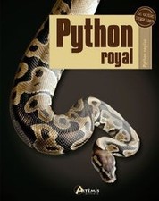 Python royal regius - royal, :