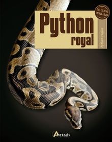 Python royal regius - python,