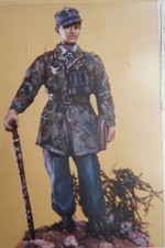  Offizier der Luftwaffe  Puchala