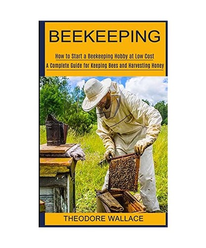 Beekeeping how start a - beekeeping:, to