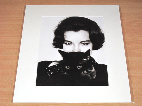 Lumas foto bild romy - lumas,
