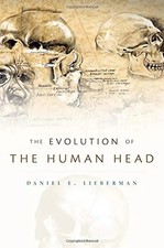Evolution of the Human Head