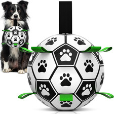 Hundeball Hundespielzeug Ball