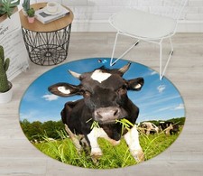 3D Weide Kuh Gras NAM2518