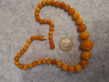 butterscotch Bernstein