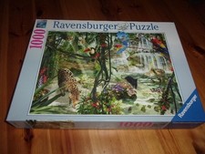 TROPICAL IMPRESSIONS - DAVID