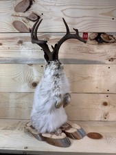 Authentic Full Mount