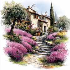 Wandbild lavendel provence - wandbild,