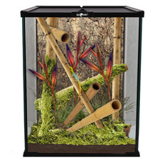 Repti Planet Glas Terrarium