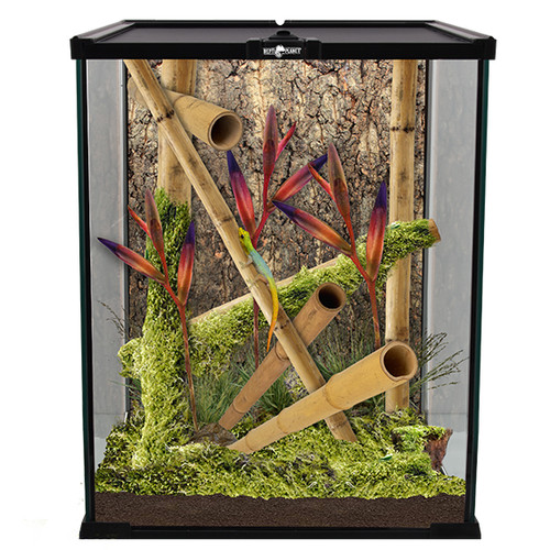 Repti planet glas - planet,
