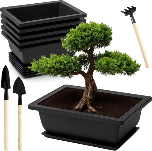 6er bonsai schale kunststoff - schale,