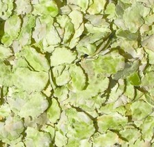 ERBSENFLOCKEN, Erbse - für