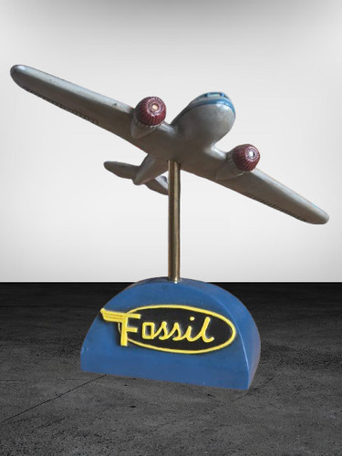 Fossil collectors club sammler - fossil,