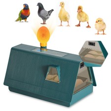 Brutmaschine Brutkasten