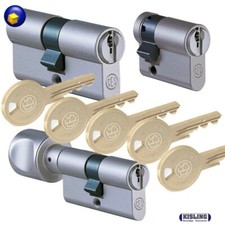 Sicherheits Profilzylinder mit