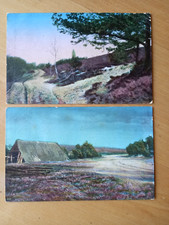 2 x Ak Lüneburg - Rothenburg - Lüneburger Heide / Hasenburg und Schafstall 1912