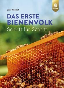 Das erste bienenvolk - erste, –