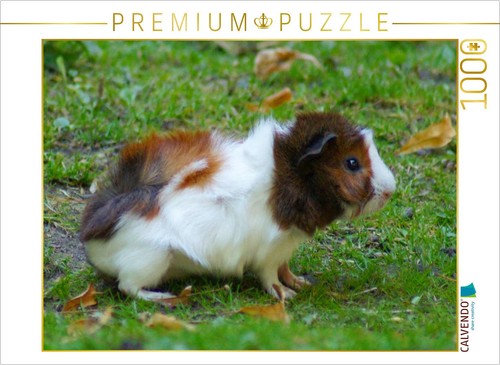Calvendo puzzle - calvendo,
